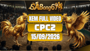 Xem Full Video Đá Gà CPC2 Ngày 15/09/2026 Trên SABONG67
