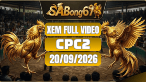 Xem Full Video Đá Gà CPC2 Ngày 20/09/2026 Trên SABONG67