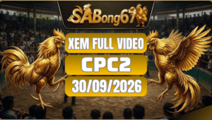 Xem Full Video Đá Gà CPC2 Ngày 30/09/2026 Trên SABONG67