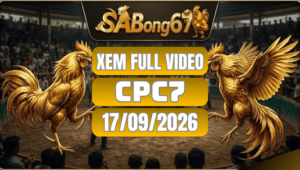 Xem Full Video Đá Gà CPC7 Ngày 17/09/2026 Trên SABONG67
