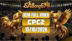 Đá Gà CPC2 Ngày 15/10/2026 trên SABONG67