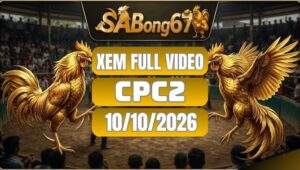 Full video đá gà CPC2 ngày 10/10/2026 trên SABONG67