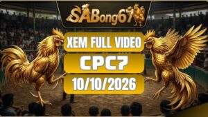 Full video đá gà CPC7 ngày 10/10/2026 trên SABONG67
