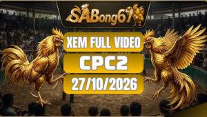 Video Đá Gà CPC2 Ngày 27/10/2026 trên SABONG67