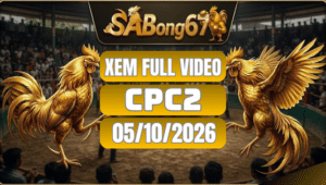 Xem Full Video Đá Gà CPC2 Ngày 05/10/2026 Trên SABONG67