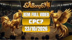 Xem Full Video Đá Gà CPC7 Ngày 23/10/2026 Trên SABONG67